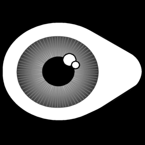 oeil